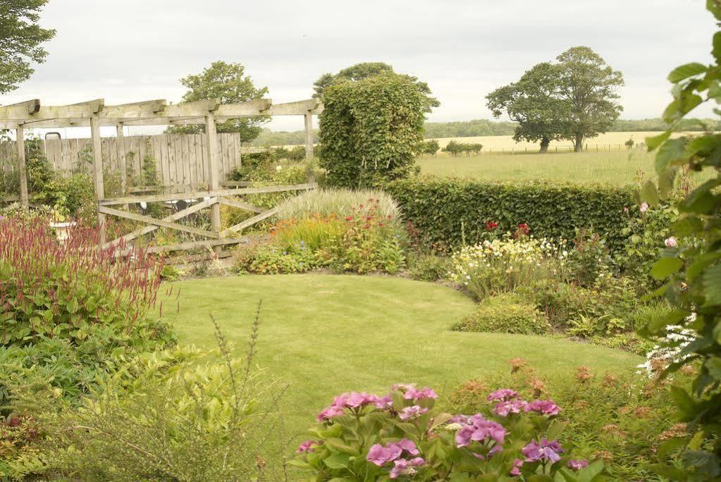 Northumberland Cottage B&B Acklington Exterior foto